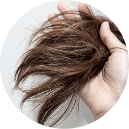 Weak & Brittle Hair